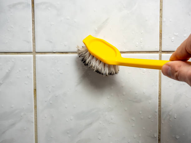 Best Commercial Mold Remediation in Henderson, TX