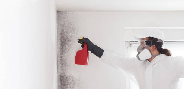 Best Crawl Space Mold Remediation in Henderson, TX